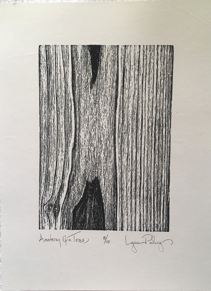 Image of woodcut "Anatomy of a Tree" 